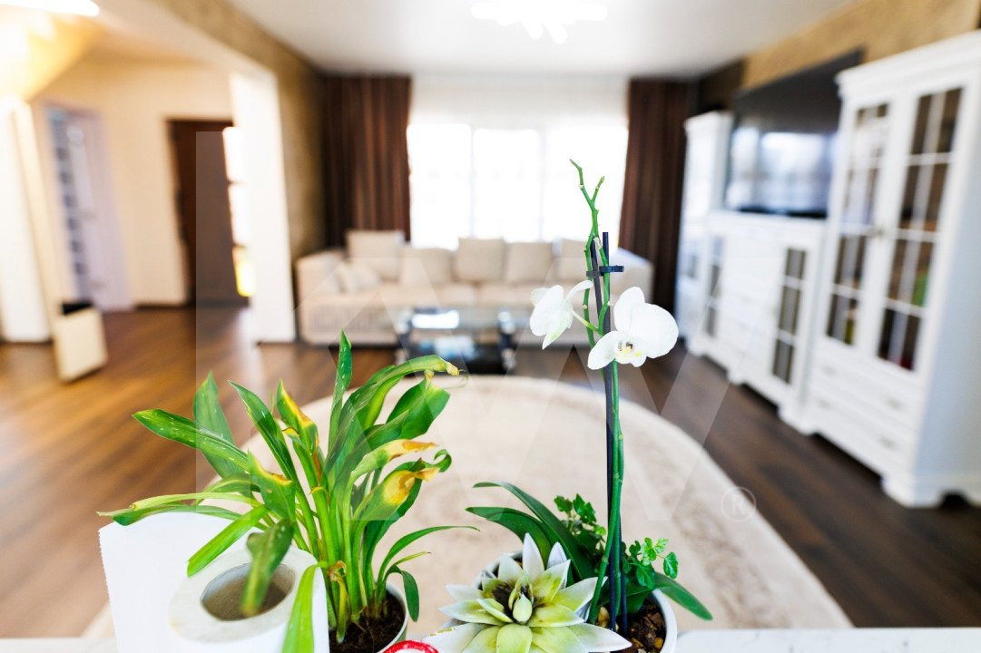 Casa modernă - parțial mobilată - zona Ford  - 4 dormitoare - 174 mp utili