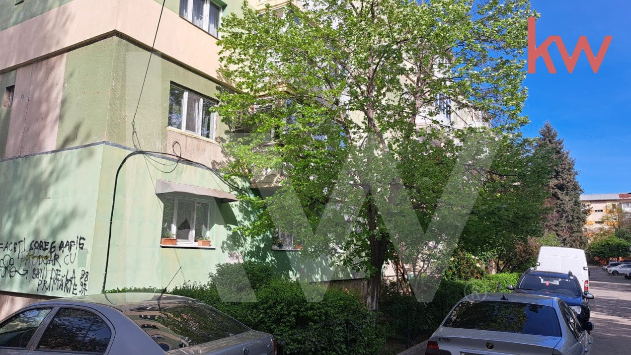 Apartament 2 camere, semidecomandat, Rovine