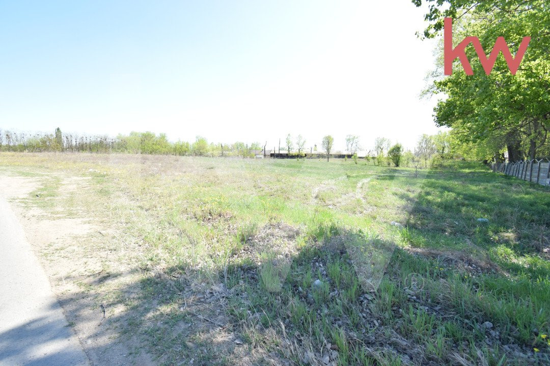Teren intravilan 2500 mp la asfalt Craiova - 23 e/mp !