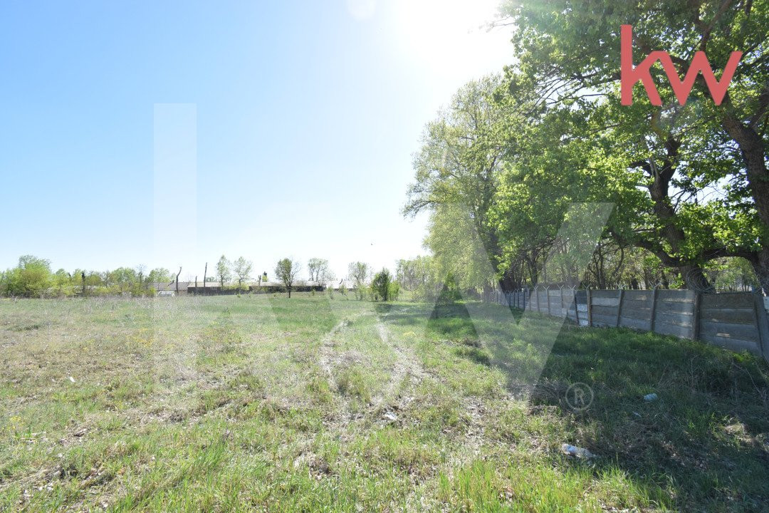 Teren intravilan 2500 mp la asfalt Craiova - 23 e/mp !