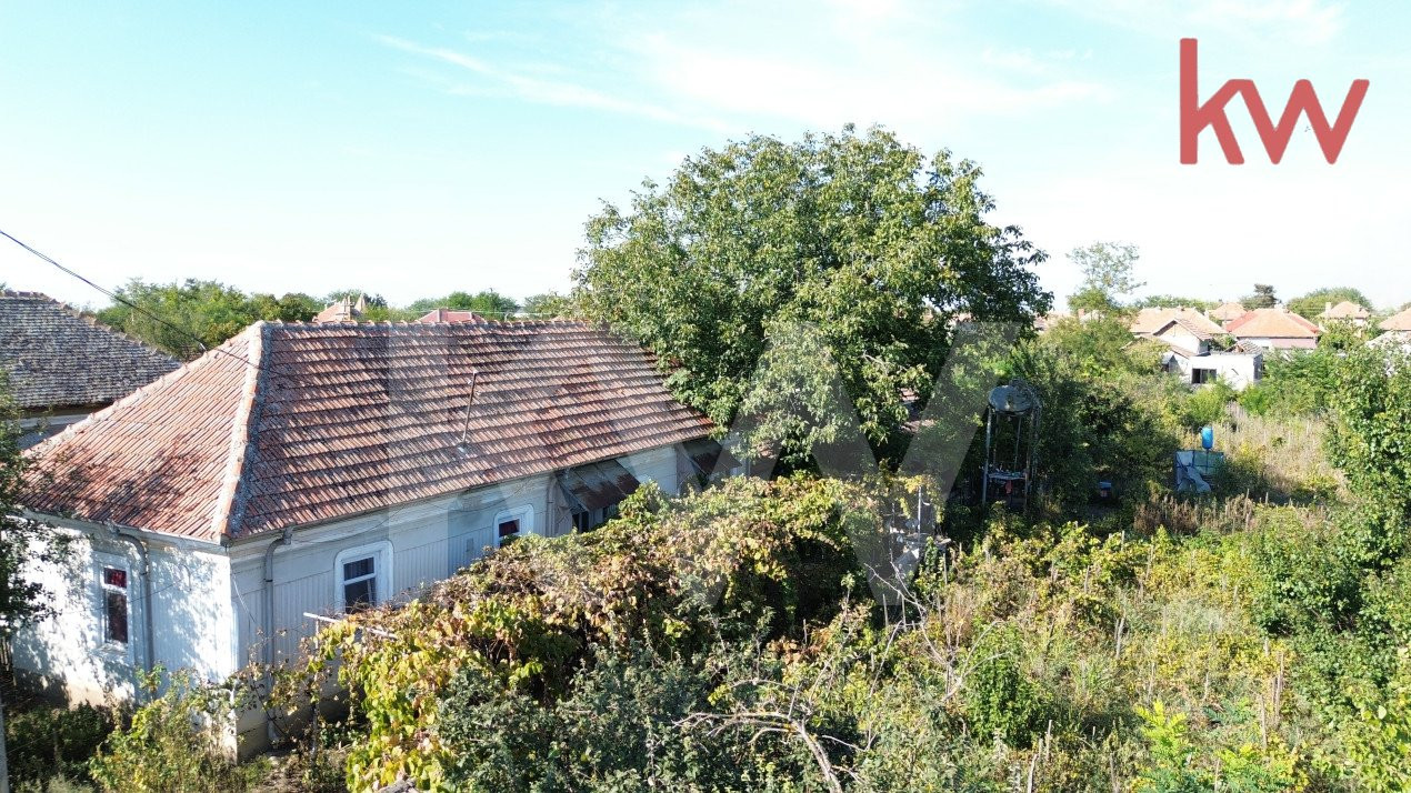 Casa 7 camere, teren 1700 mp, vie, gradina, fantana - Afumati Dolj