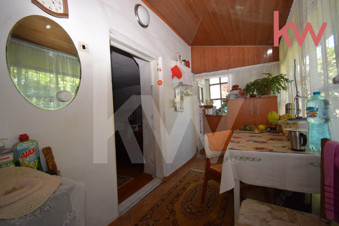 Casa 7 camere, teren 1700 mp, vie, gradina, fantana - Afumati Dolj