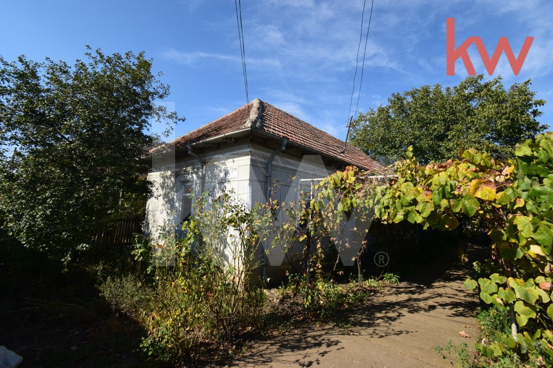 Casa 7 camere, teren 1700 mp, vie, gradina, fantana - Afumati Dolj