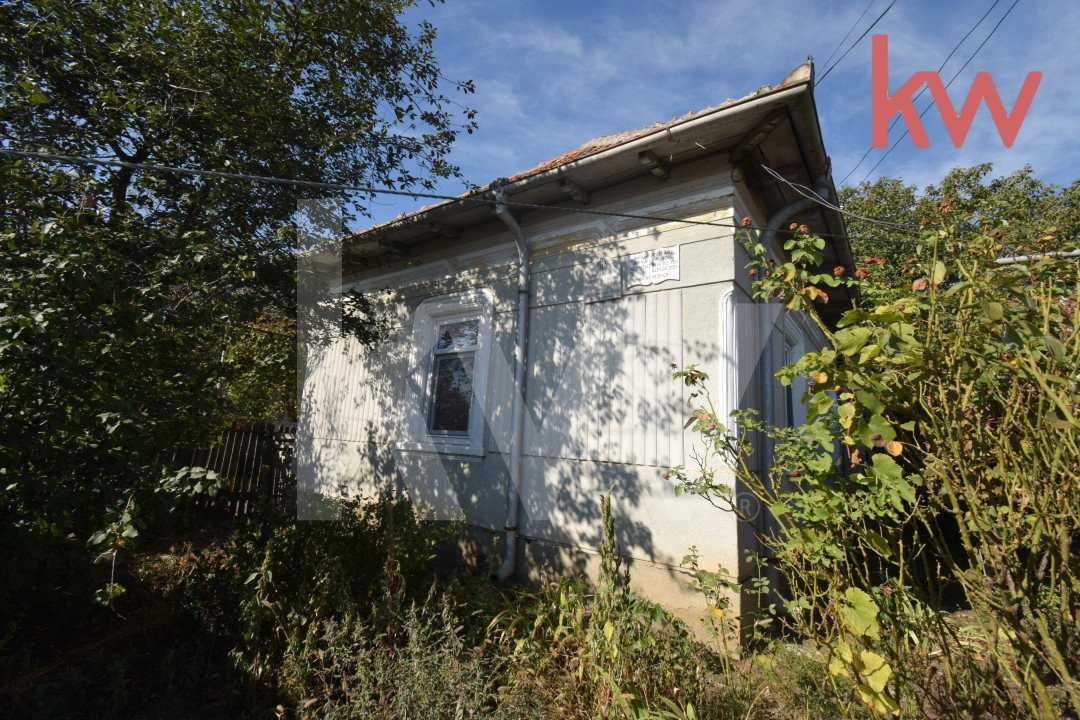 Casa 7 camere, teren 1700 mp, vie, gradina, fantana - Afumati Dolj