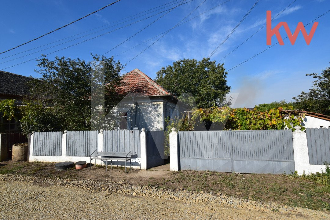 Casa 7 camere, teren 1700 mp, vie, gradina, fantana - Afumati Dolj