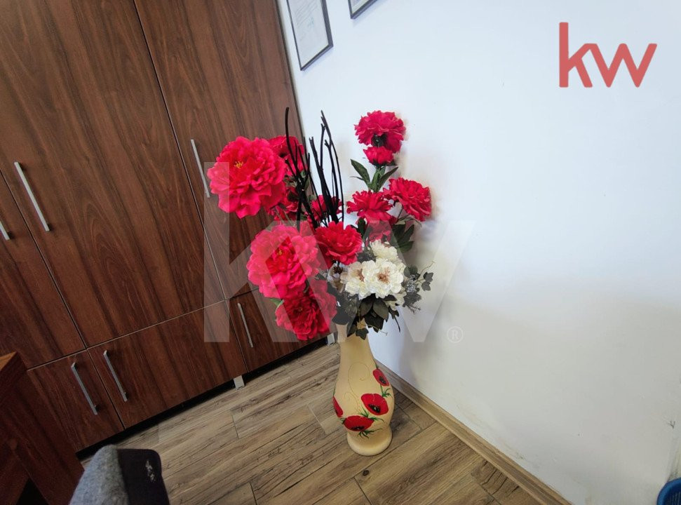 Spatiu birouri, premium, mobilat, Lapus Arges
