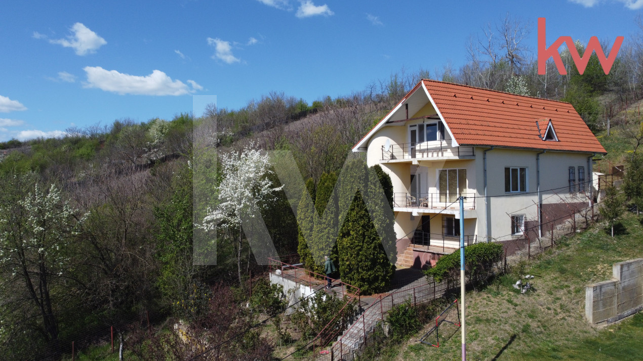 Casa deosebita Leamna, Dolj, priveliste panoramica 