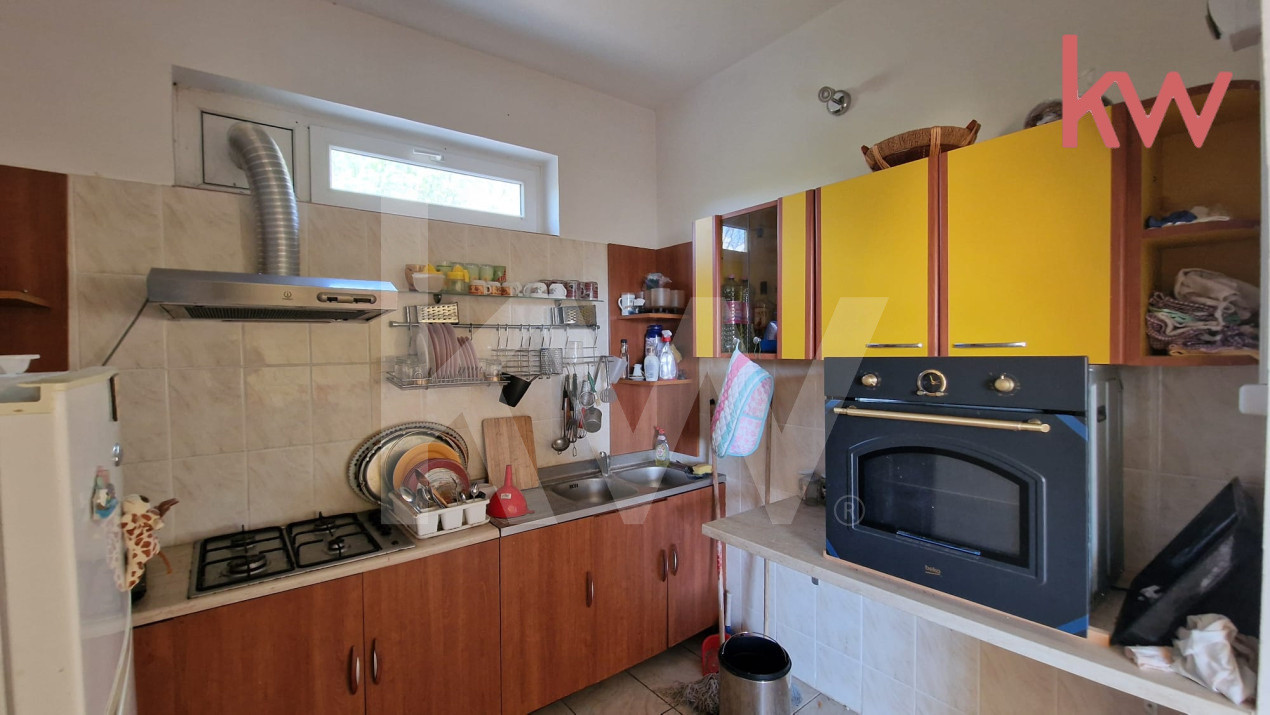 Casa deosebita Leamna, Dolj, priveliste panoramica 