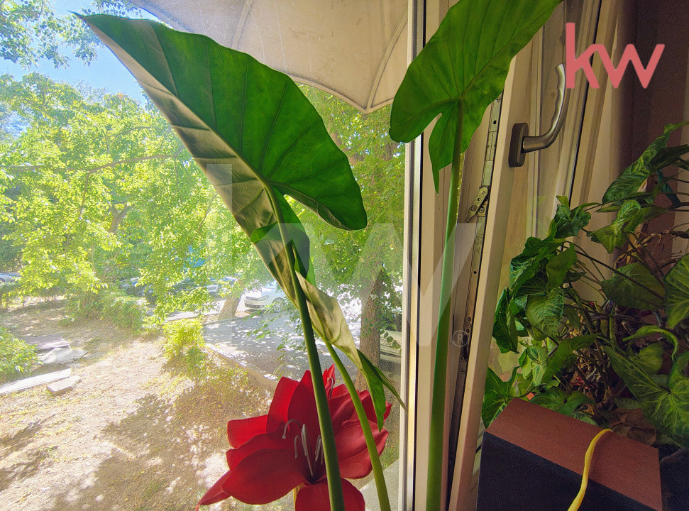 Apartament 3 Camere, Gradina botanica, parter