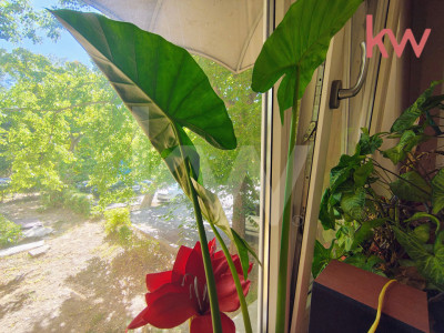 Apartament 3 Camere, Zona Linistita-Severinului