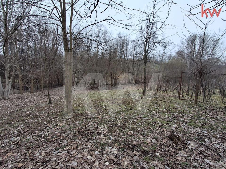 Vânzare Teren  Malu Mare * zona centrală