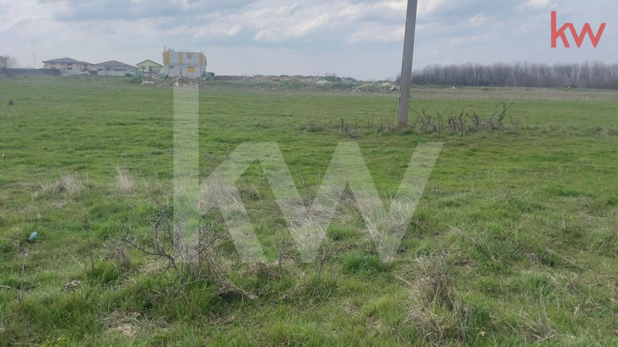 TEREN INTRAVILAN 1000 MP CARCEA - ZONA HANUL CU PONEI