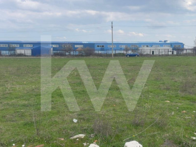 TEREN INTRAVILAN 1000 MP CARCEA - ZONA HANUL CU PONEI