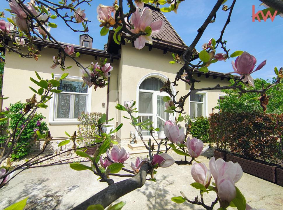 Puskin / Vila Versatila 88 mp – Cabinete / Birouri / After School