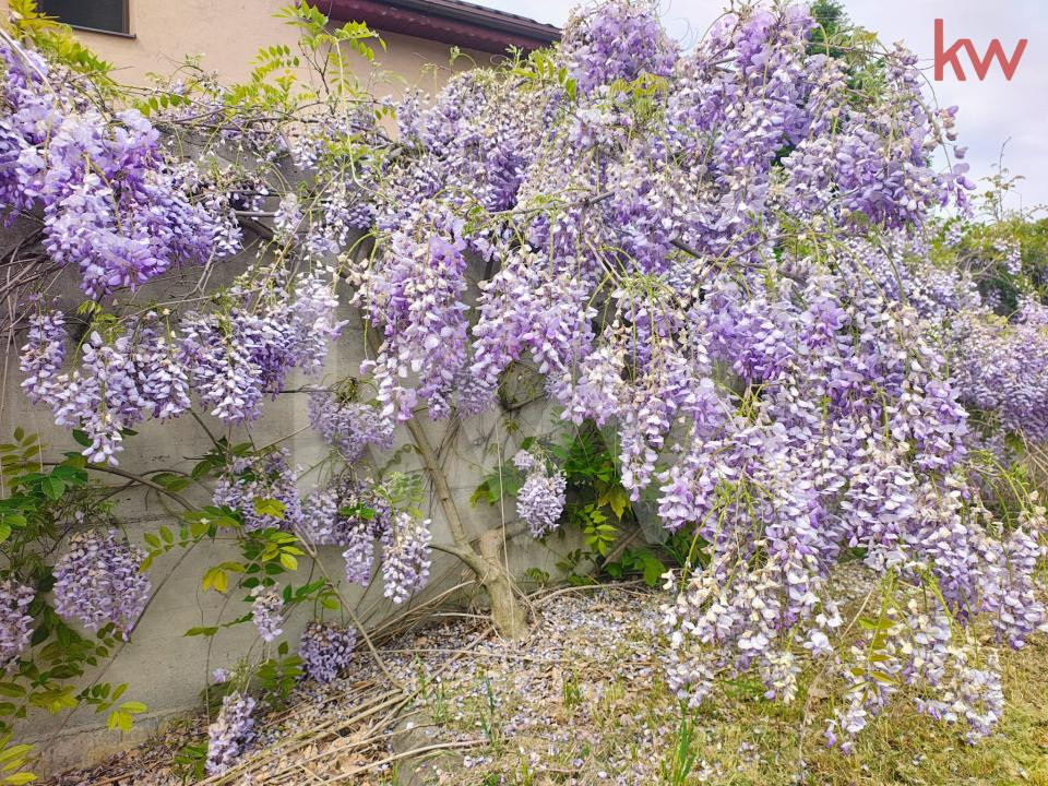 🏡 Casă spectaculoasă S+P+1 • piscină •zonă selectă cu vedere către pădure