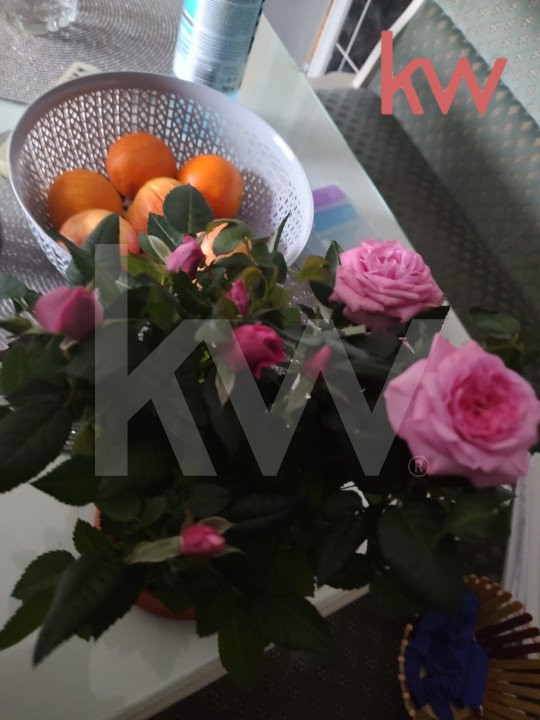 Apartament 1 mai , 3 camere 