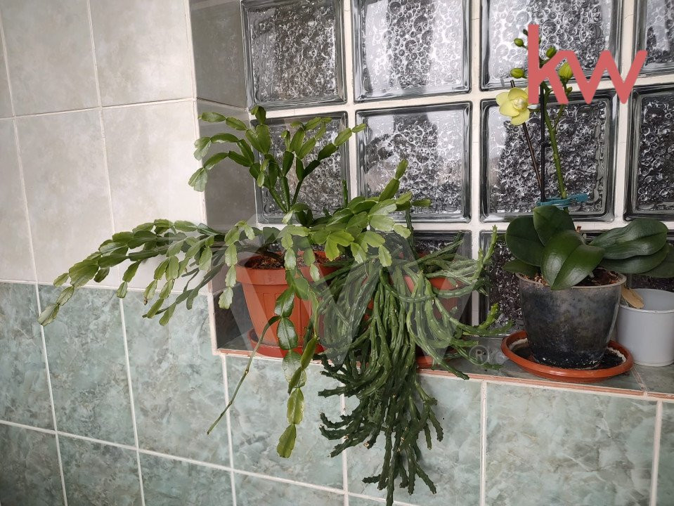 Apartament 1 mai , 3 camere 